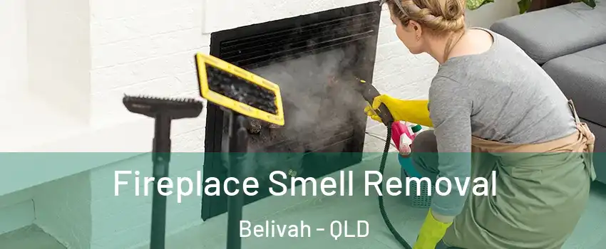 Fireplace Smell Removal Belivah - QLD
