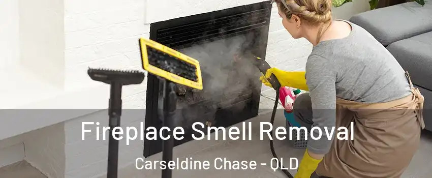 Fireplace Smell Removal Carseldine Chase - QLD