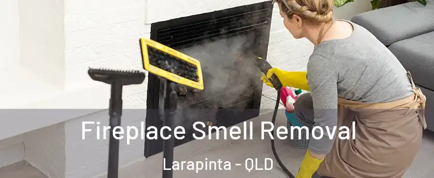 Fireplace Smell Removal Larapinta - QLD