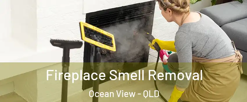 Fireplace Smell Removal Ocean View - QLD