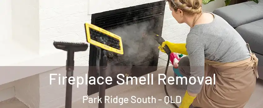 Fireplace Smell Removal Park Ridge South - QLD