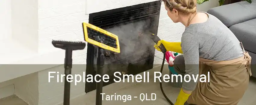  Fireplace Smell Removal Taringa - QLD