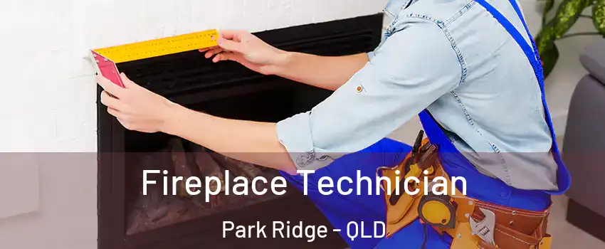  Fireplace Technician Park Ridge - QLD