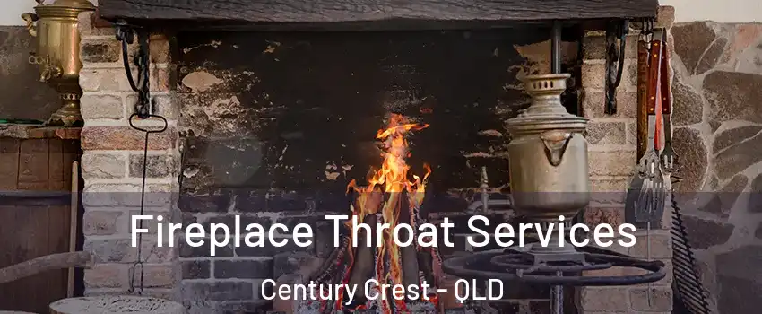 Fireplace Throat Services Century Crest - QLD