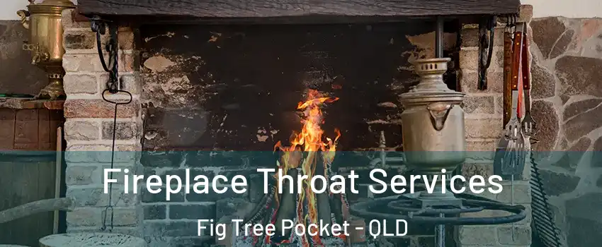 Fireplace Throat Services Fig Tree Pocket - QLD