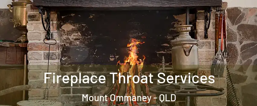 Fireplace Throat Services Mount Ommaney - QLD