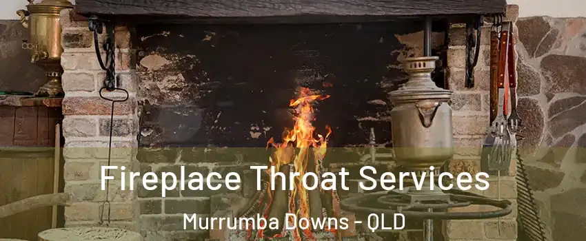 Fireplace Throat Services Murrumba Downs - QLD