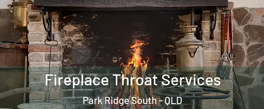 Fireplace Throat Services Park Ridge South - QLD