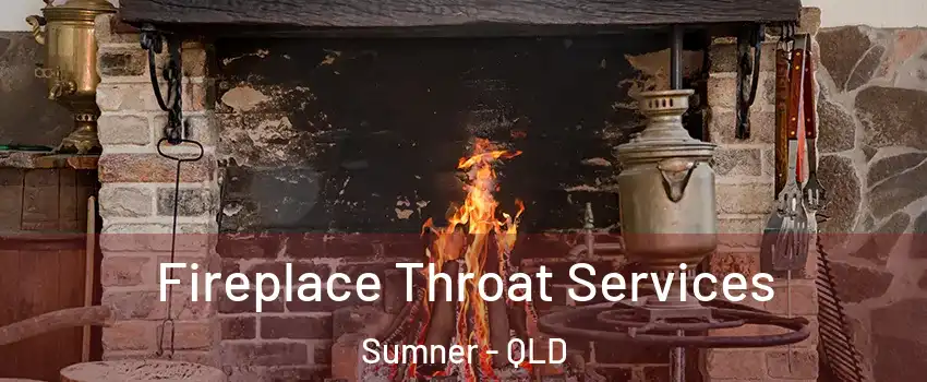 Fireplace Throat Services Sumner - QLD