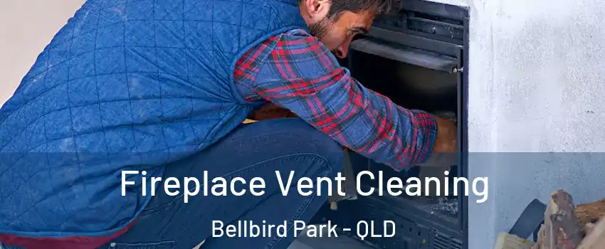Fireplace Vent Cleaning Bellbird Park - QLD
