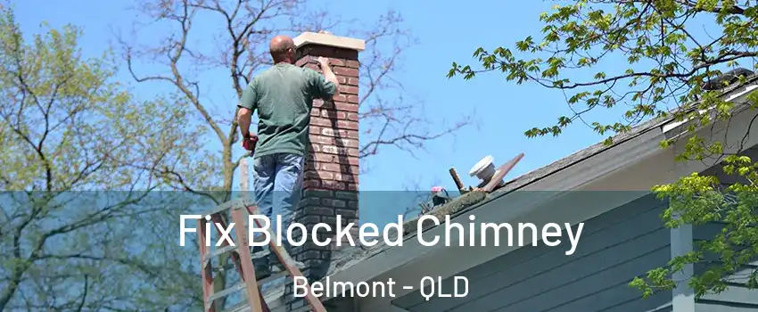  Fix Blocked Chimney Belmont - QLD