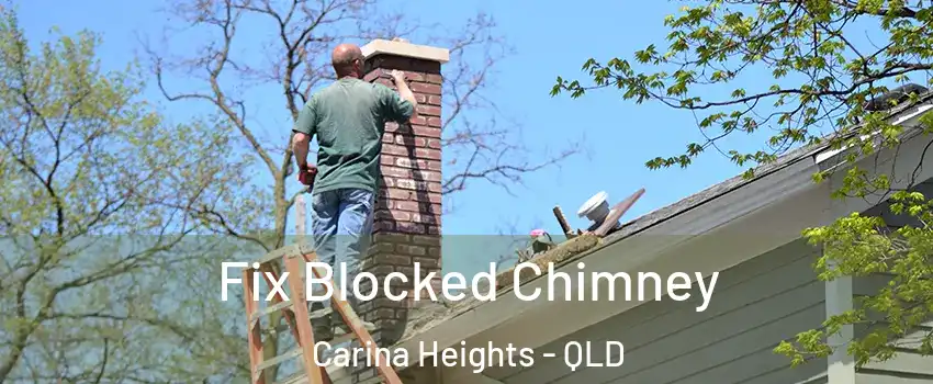 Fix Blocked Chimney Carina Heights - QLD