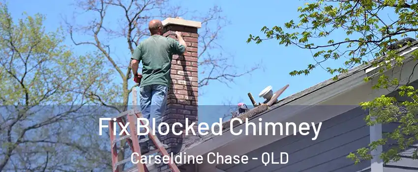 Fix Blocked Chimney Carseldine Chase - QLD