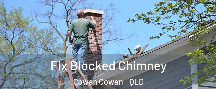 Fix Blocked Chimney Cowan Cowan - QLD
