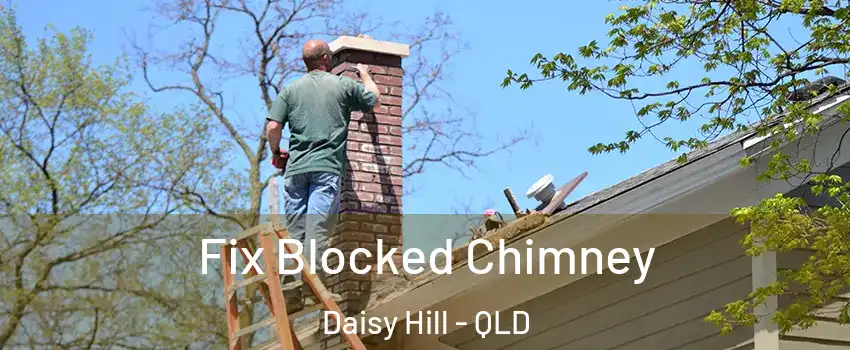 Fix Blocked Chimney Daisy Hill - QLD