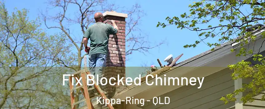 Fix Blocked Chimney Kippa-Ring - QLD