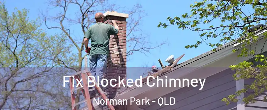 Fix Blocked Chimney Norman Park - QLD