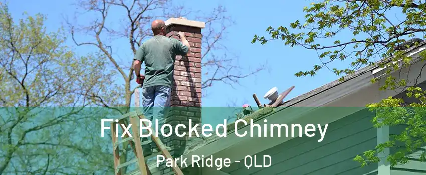  Fix Blocked Chimney Park Ridge - QLD