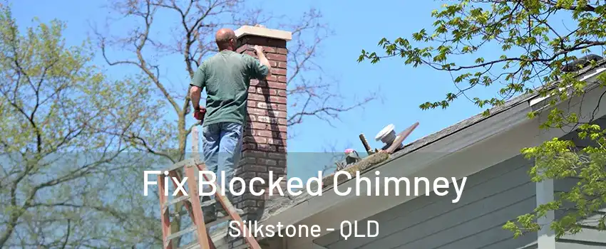 Fix Blocked Chimney Silkstone - QLD