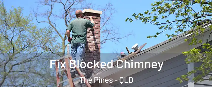 Fix Blocked Chimney The Pines - QLD
