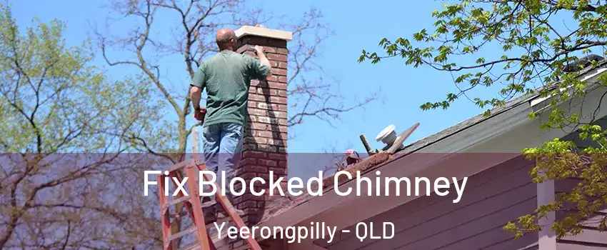 Fix Blocked Chimney Yeerongpilly - QLD