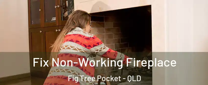 Fix Non-Working Fireplace Fig Tree Pocket - QLD
