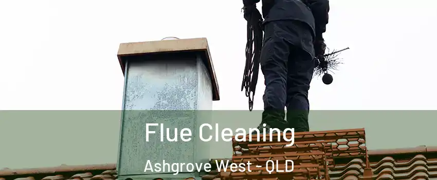 Flue Cleaning Ashgrove West - QLD