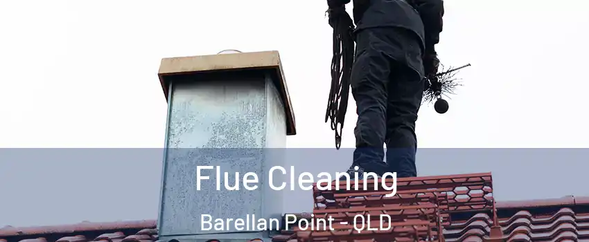 Flue Cleaning Barellan Point - QLD