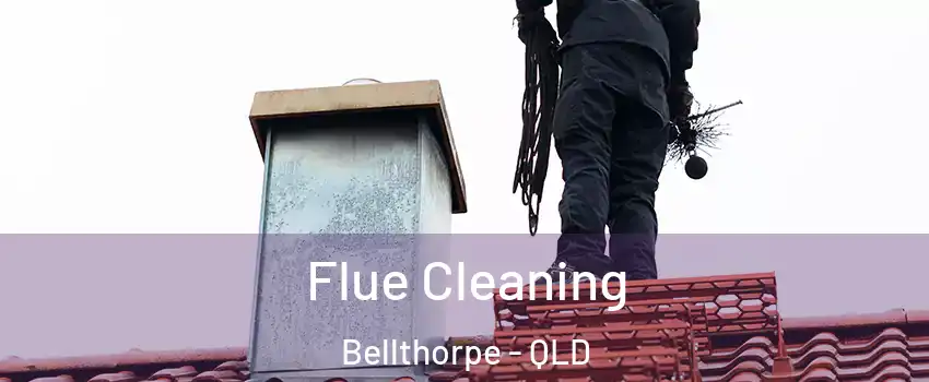 Flue Cleaning Bellthorpe - QLD