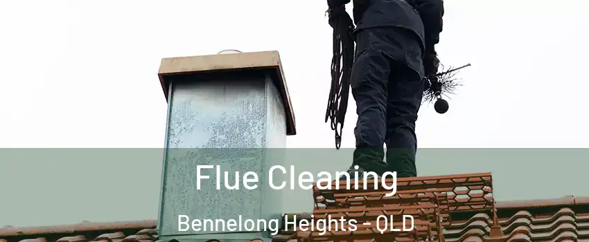 Flue Cleaning Bennelong Heights - QLD