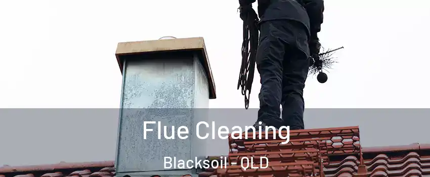 Flue Cleaning Blacksoil - QLD