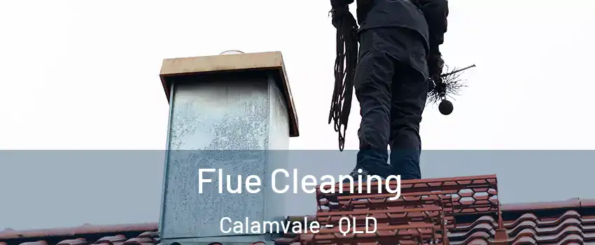 Flue Cleaning Calamvale - QLD