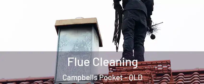 Flue Cleaning Campbells Pocket - QLD