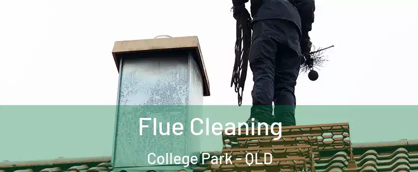 Flue Cleaning College Park - QLD
