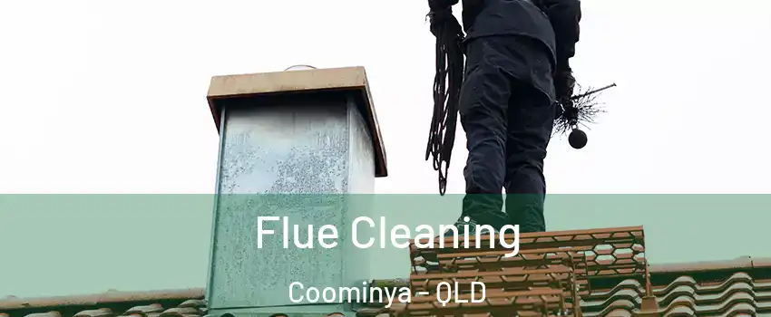 Flue Cleaning Coominya - QLD