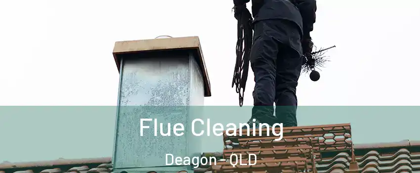 Flue Cleaning Deagon - QLD