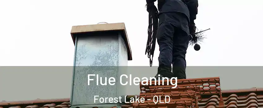Flue Cleaning Forest Lake - QLD