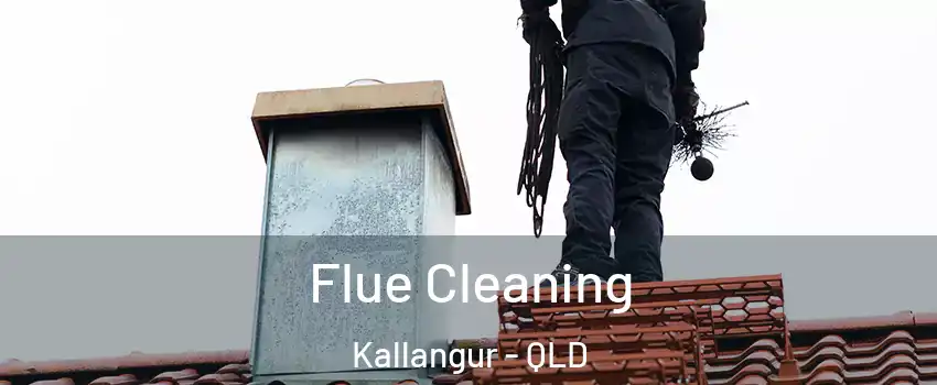 Flue Cleaning Kallangur - QLD