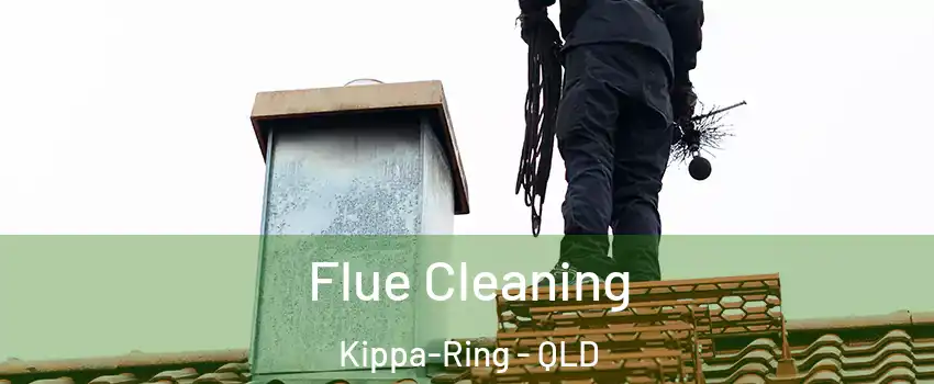 Flue Cleaning Kippa-Ring - QLD