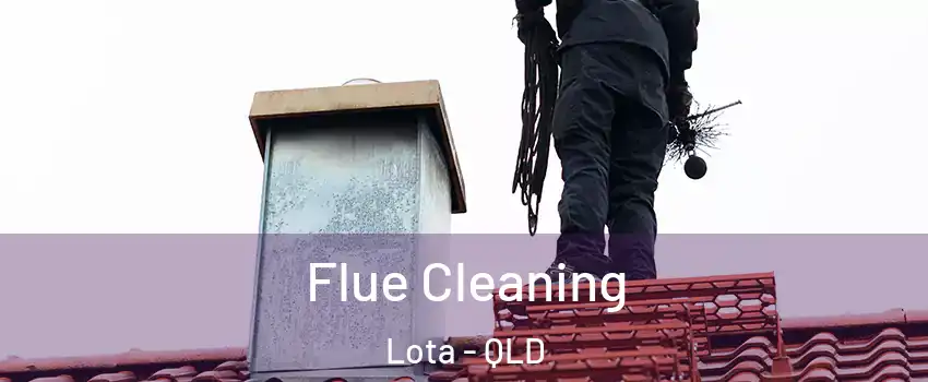 Flue Cleaning Lota - QLD