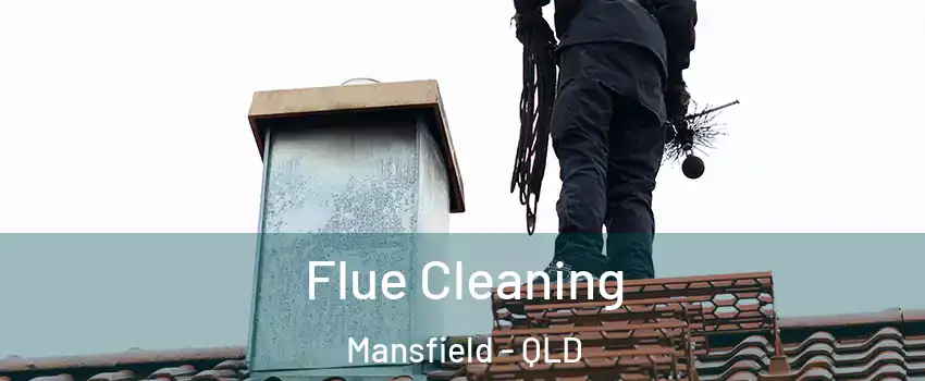 Flue Cleaning Mansfield - QLD