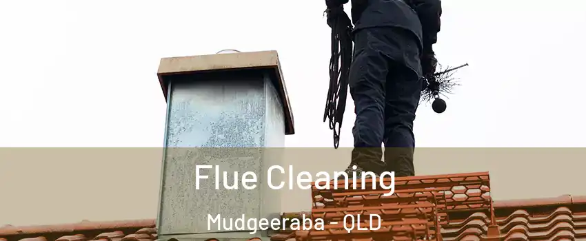 Flue Cleaning Mudgeeraba - QLD