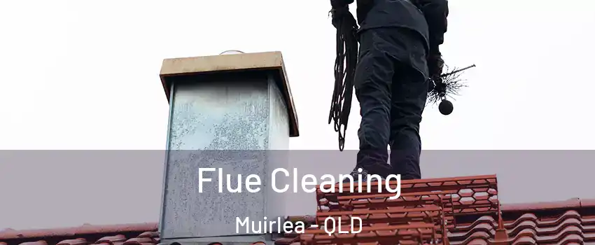 Flue Cleaning Muirlea - QLD