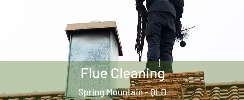Flue Cleaning Spring Mountain - QLD