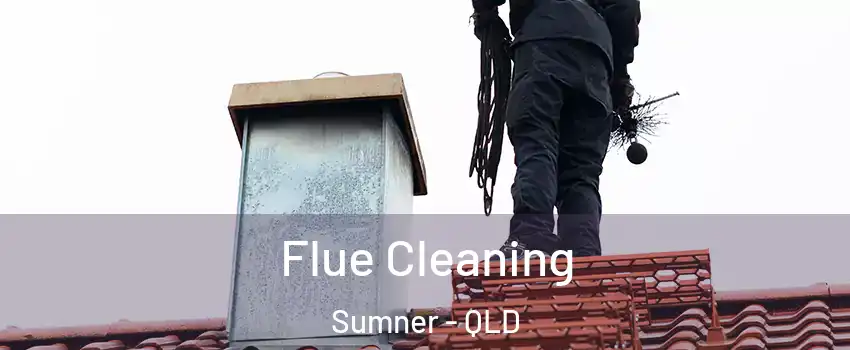 Flue Cleaning Sumner - QLD