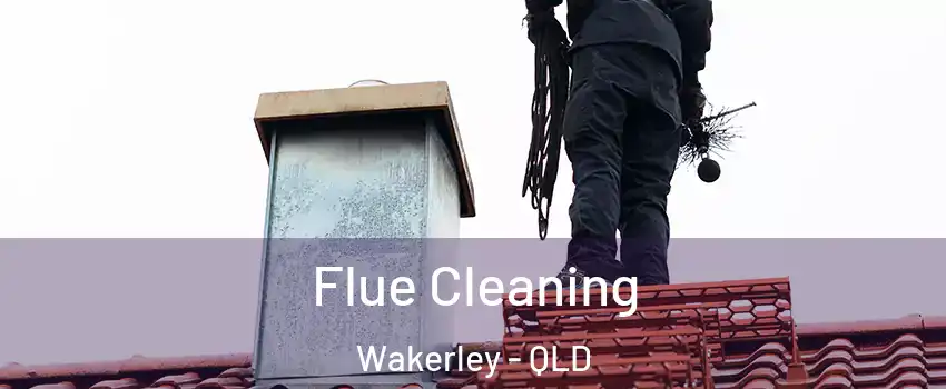 Flue Cleaning Wakerley - QLD