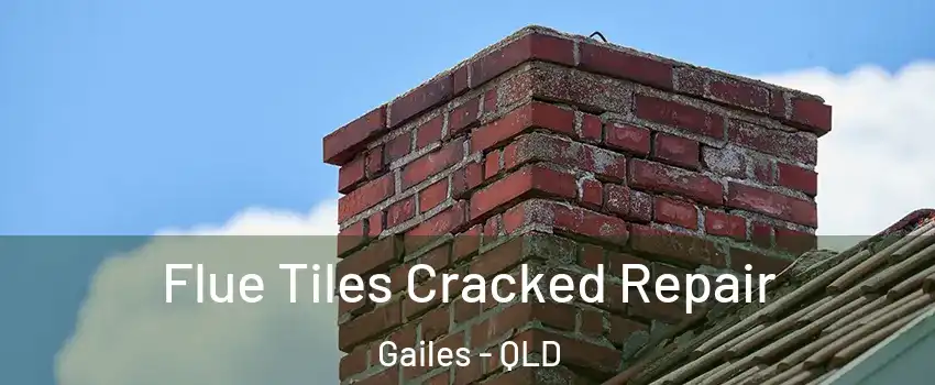 Flue Tiles Cracked Repair Gailes - QLD