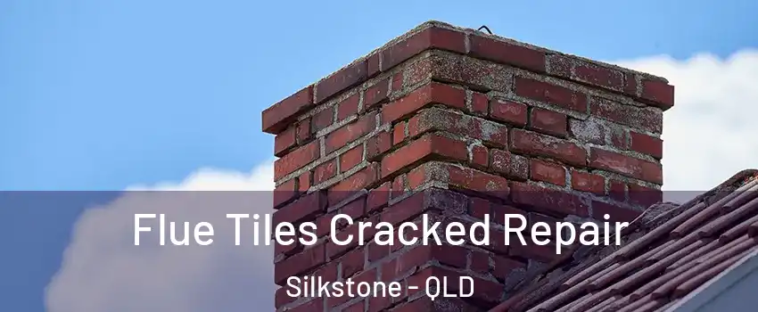  Flue Tiles Cracked Repair Silkstone - QLD