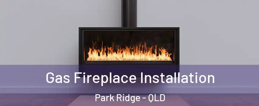 Gas Fireplace Installation Park Ridge - QLD