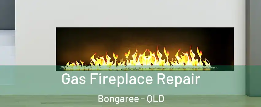 Gas Fireplace Repair Bongaree - QLD